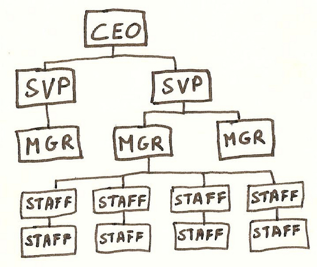 Organization Chart