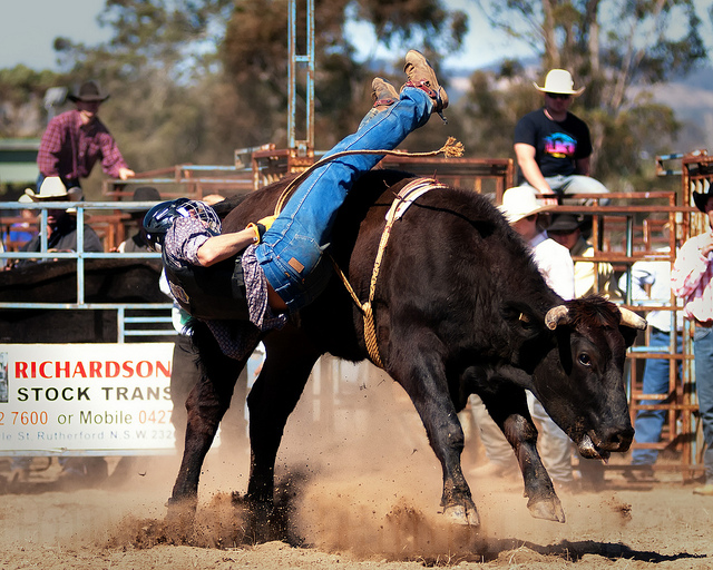 Gresford Rodeo #4