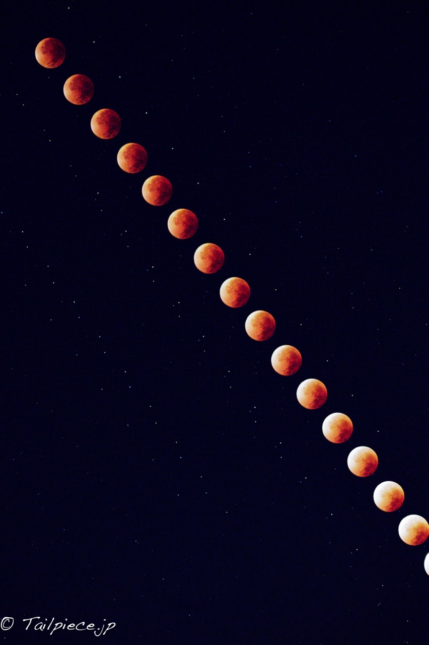 DSC_7980 Edit. DSC_7980 Edit.